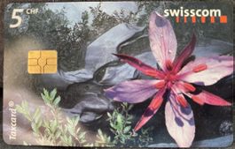 Taxcard GM4