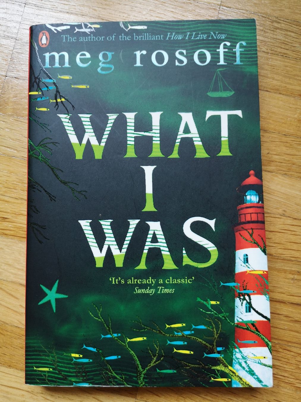 Bücher: Buch "What I Was" von Meg Rosoff – Gebraucht aus Zürich von lin_c57x