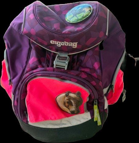 Ergobag Borse & Zaini: Ergobag Pack Schulranzen mit Sport-Bag – Usato da Jona venduto da marcobetz 1