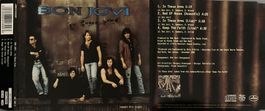 BON JOVI - IN THESE ARMS