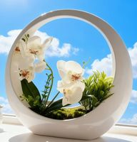 künstliche Phalaenopsis-Orchidee mit weißem mondförmigem Top