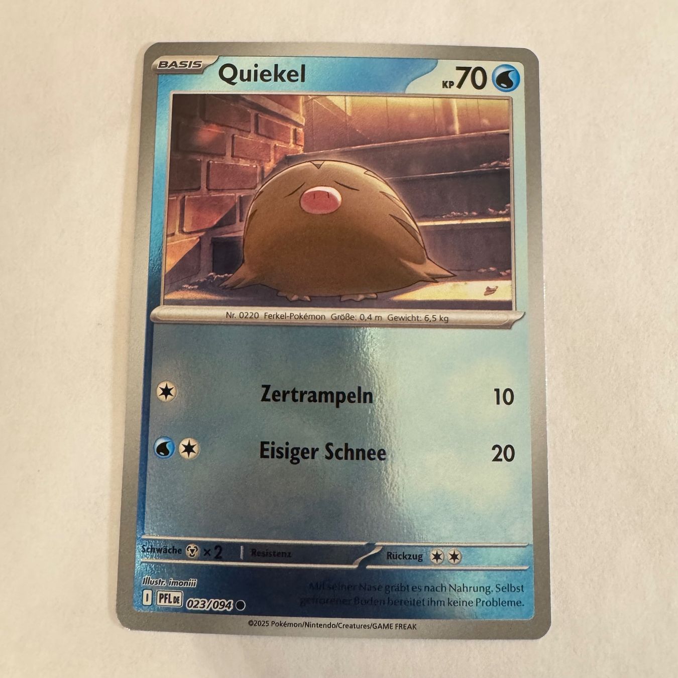Pokémon Sammelbilder & Trading cards: Pokémon PFL - Quiekel - 23 / 94 - DE – Neu (gemäss Beschreibung) aus Staad SG von miaCards