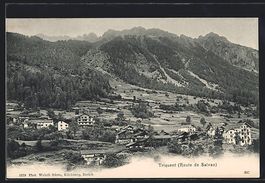 AK Trient /Route de Salvan, Panorama