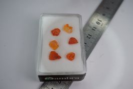 Feuer opal Mexico  Roh       im Böxli no2