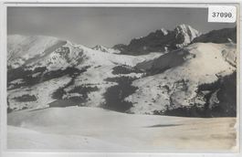 Lenk i.S. - Bettelberg im Winter