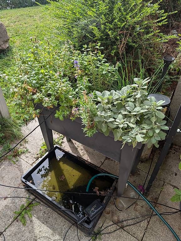 Vasi per fiori: Hochbeet mit Haube - Kunststoff, Anthrazit – Usato da fällanden venduto da dav_s7zg