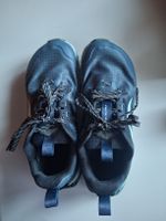 Altra Laufschuhe Lone Peak blau guter Zustand 38.5