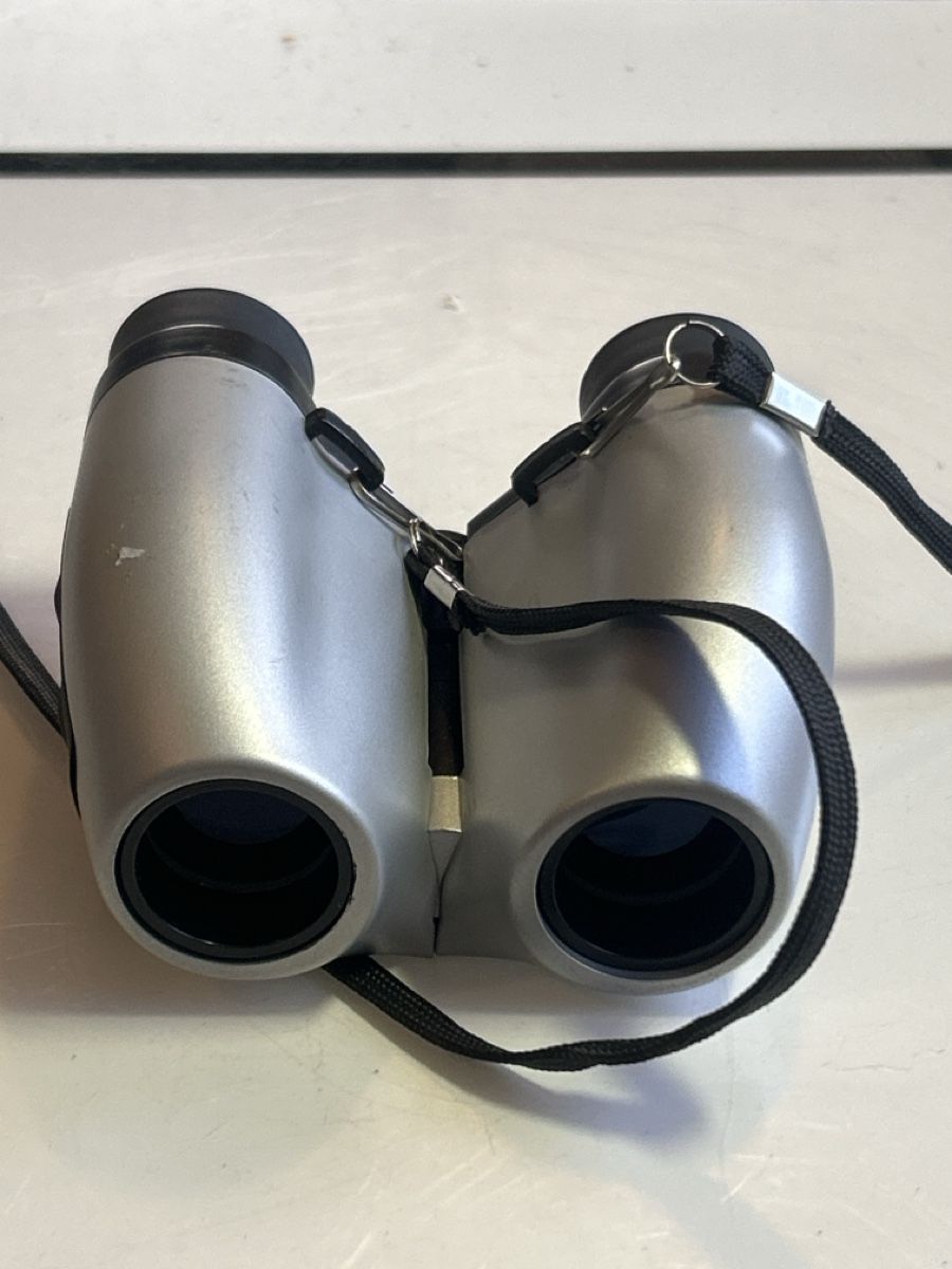 Binocoli: Fernglas 10x25 UCF gebraucht(I13) – Usato da Neuenhof venduto da SchnaeppliAllerlei 1