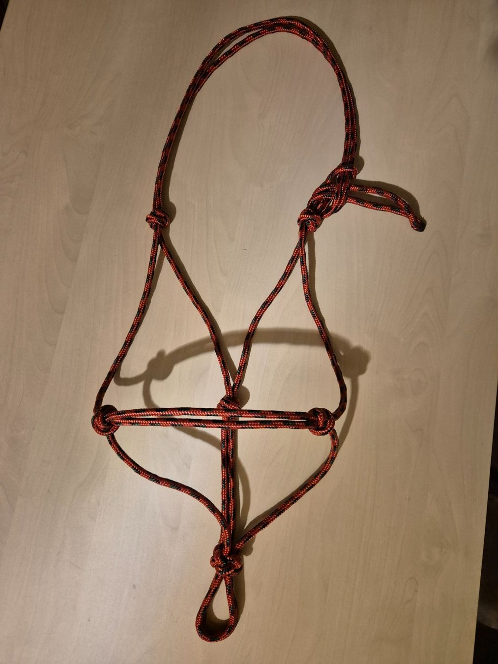 Brides, licols: Knotenhalfter Warmblut – Neuf (Voir description) à Meggen par Orrinka20