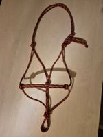 Knotenhalfter Warmblut