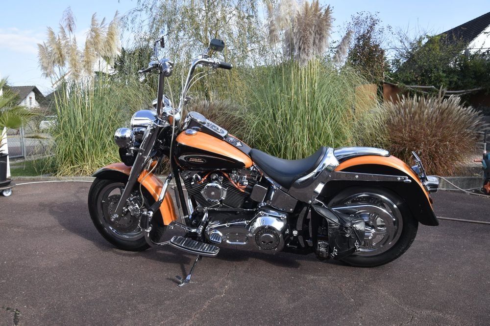 Harley-Davidson Touring: Harley-Davidson Softail Fatboy FLSTF, Typ X, MFK 04.09.2024 – Usato da Kriegstetten venduto da Tamandua