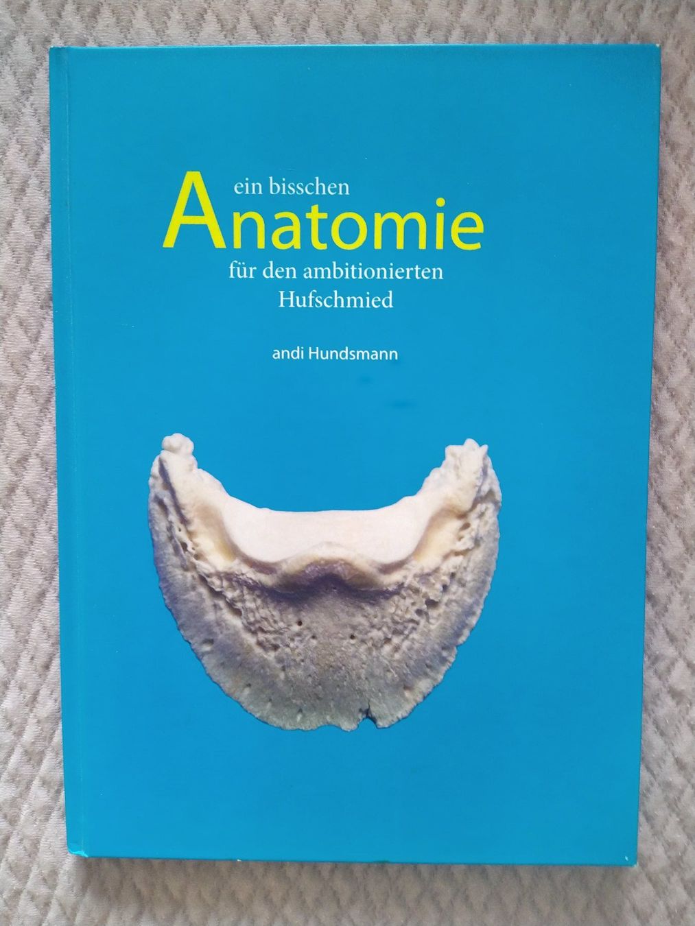 Libri: Buch Pferde - Ein bisschen Anatomie – Nuovo (secondo la descrizione) da Spreitenbach venduto da 77dancehall77