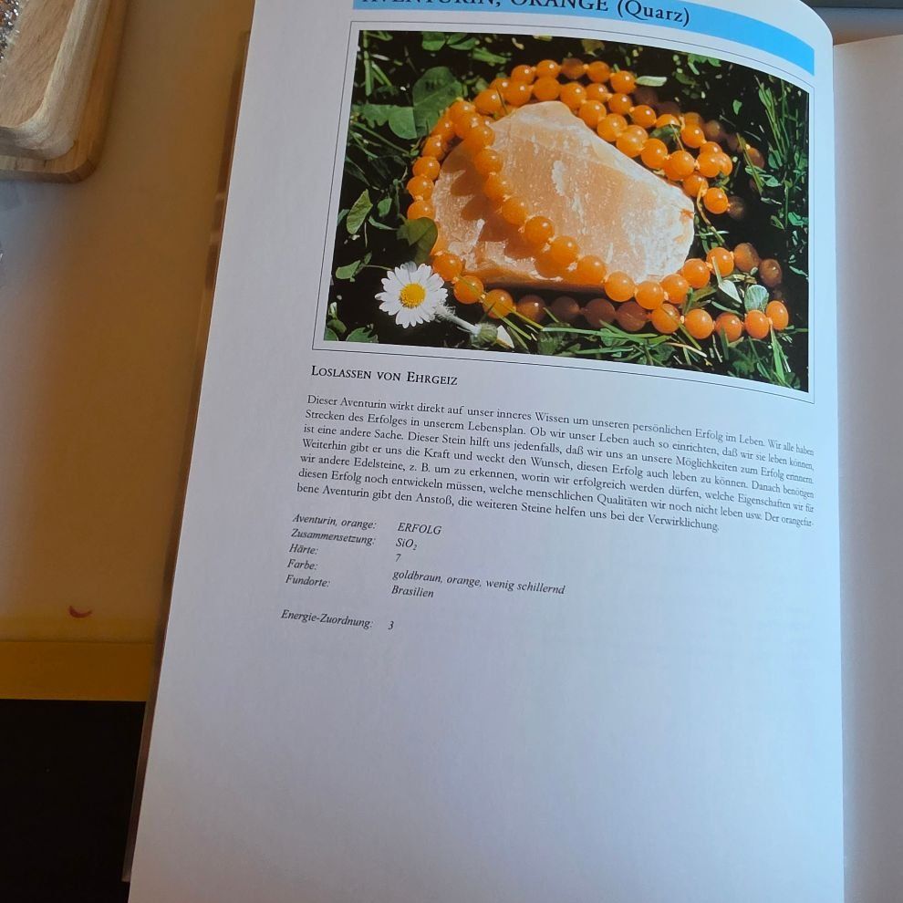 Livres: EDEL STEINE  BUCH – Neuf (Voir description) à Dintikon par bonita099 6