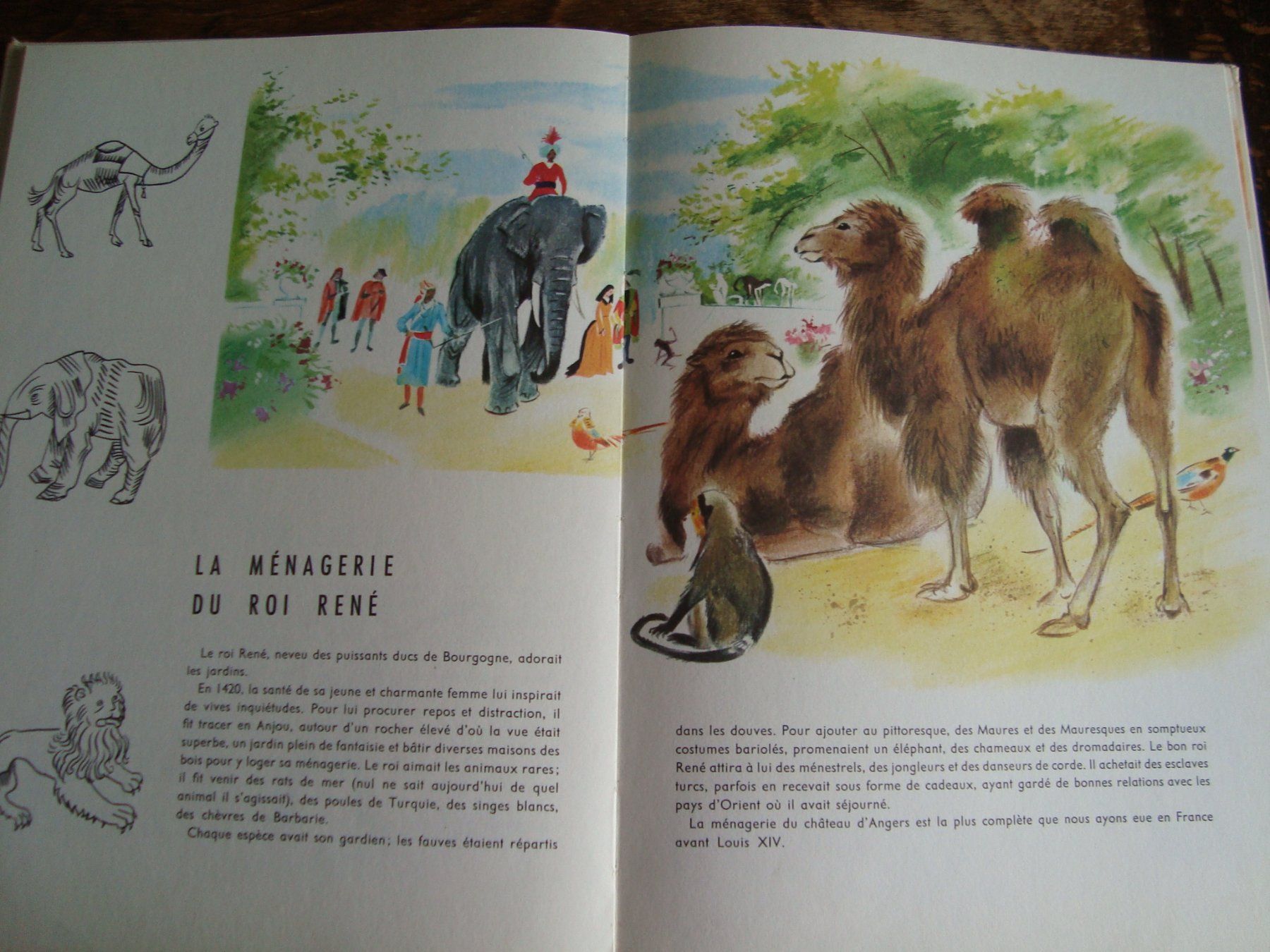 Libri: Animaux célèbres – Usato da Fribourg venduto da ruswil007 2