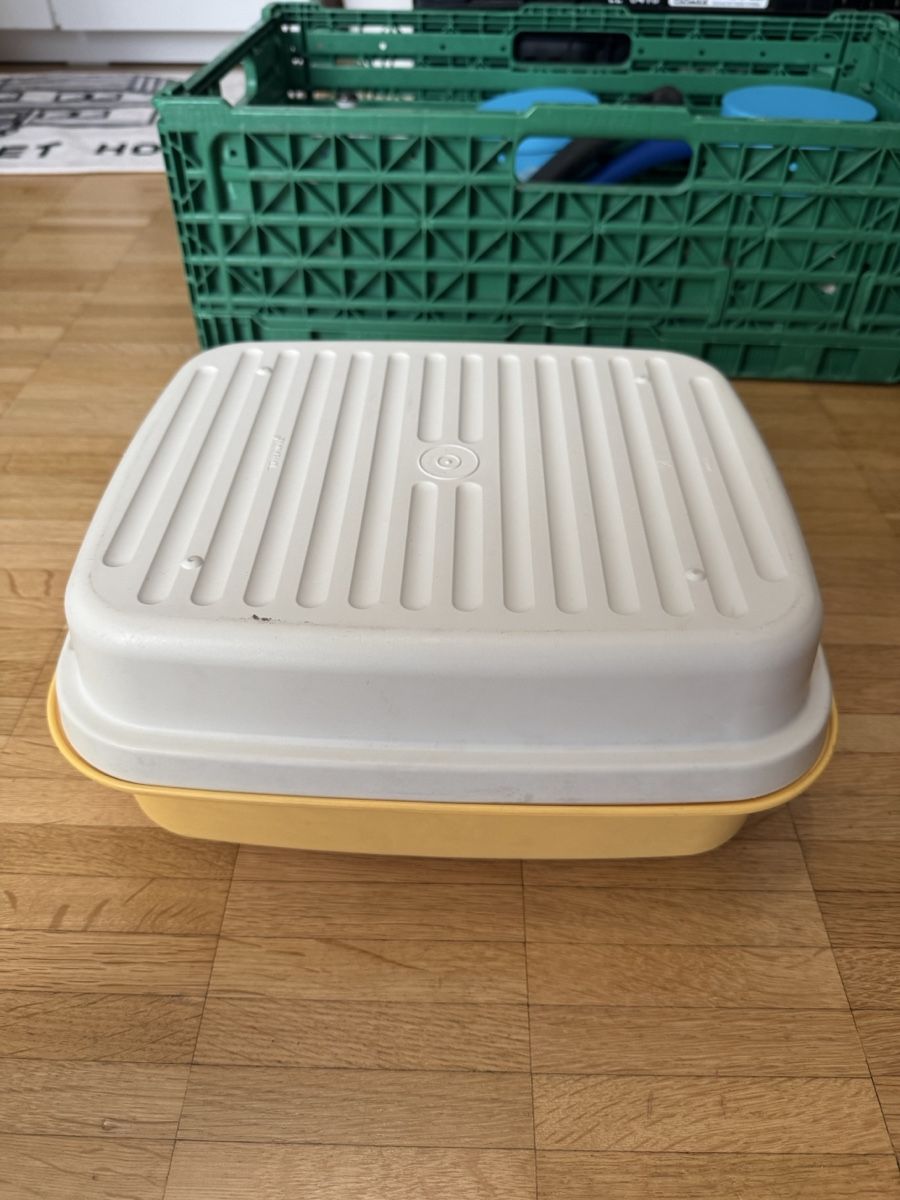 Contenitori & Simili: Contenitore Tupperware vintage - Ideale per picnic! – Usato da Viganello venduto da BlackPanda0003