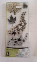 5 Stk. Clear Stamps transparent, Herbstmotive, Basteln