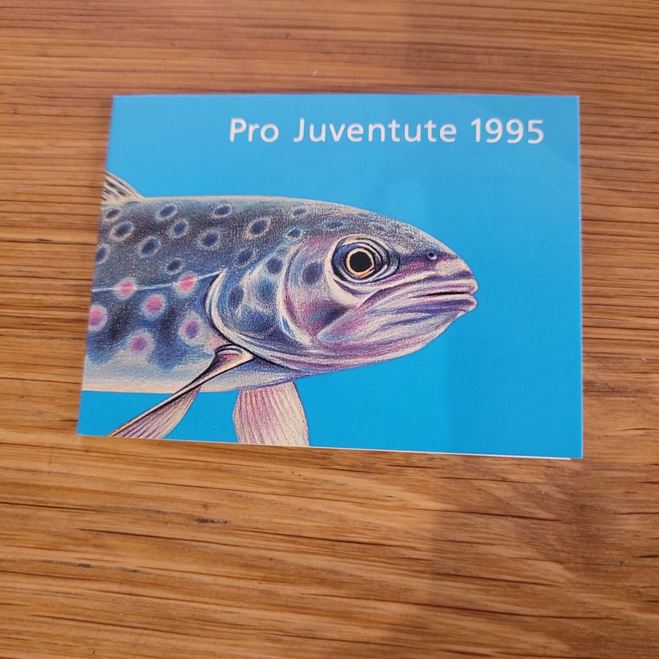 Tous les timbres: Markenheftchen Carnet De Timbre Pro Juventute 1995 – D'occasion à Biel/Bienne par Destockweb