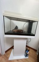 Aquarium Juwel  inkl. Unterschrank & CO2-Anlage 🐟