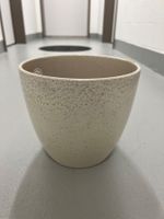 Plant pot