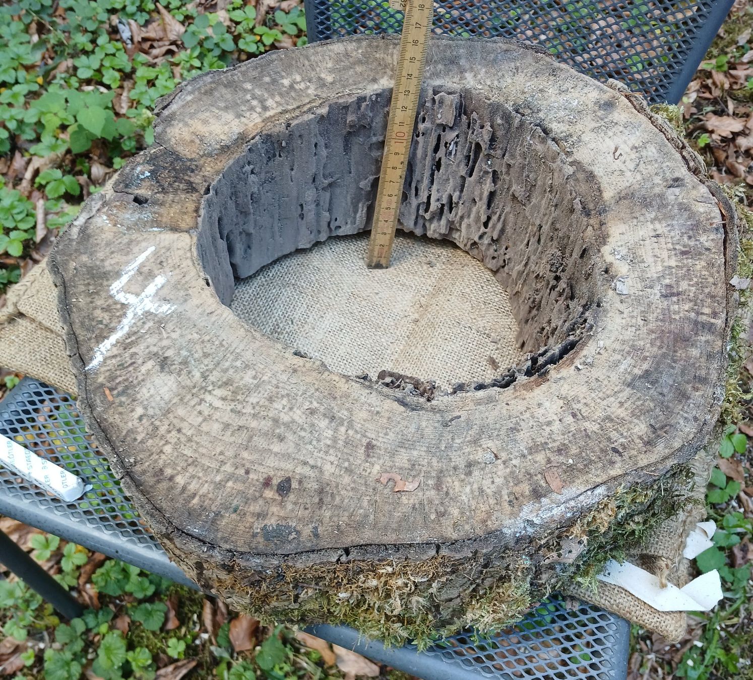 Holzartikel: Baumscheibe Natur hohl, roh >  B4 – Gebraucht aus Bilten von Archiv55 2
