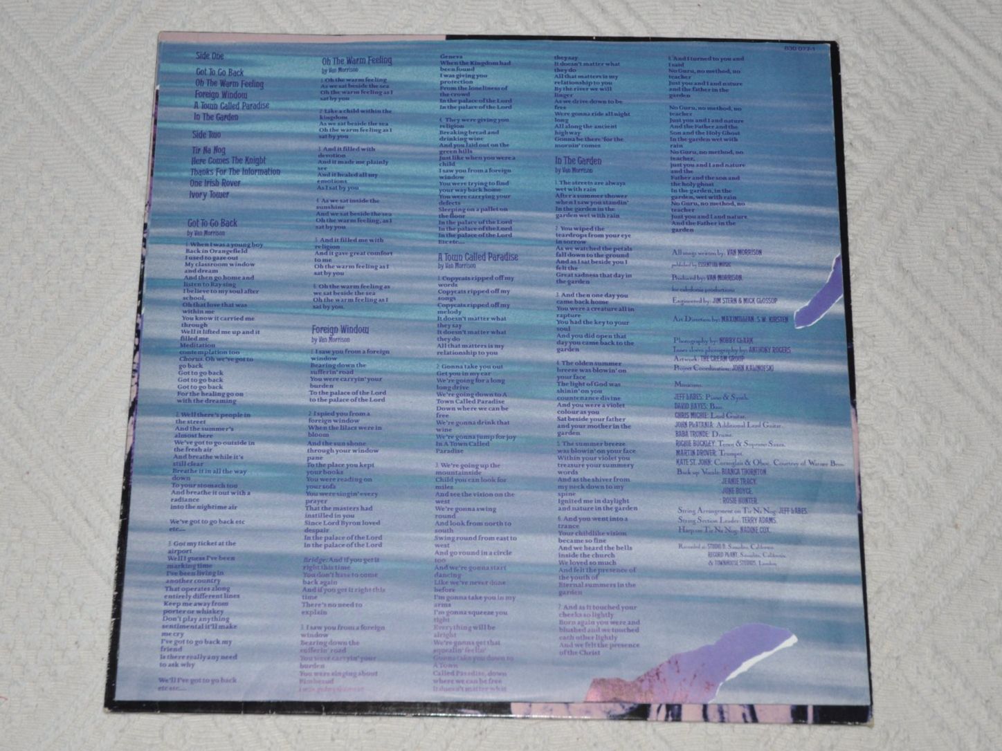 Vinyles: LP Van Morrison - No Guru. No Method. No Teacher – D'occasion à Boll par Theodora15 2
