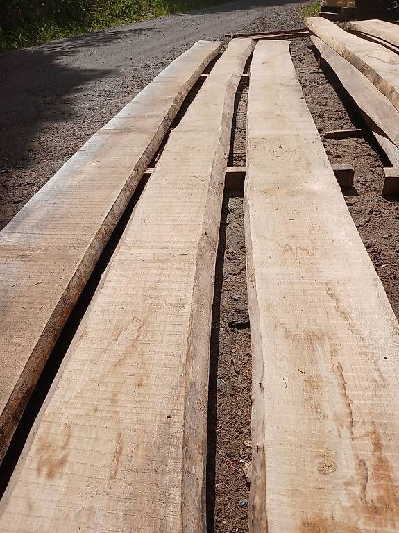 Articoli in legno: Ahorn bretter – Nuovo (secondo la descrizione) da Willisau venduto da wood1988 1
