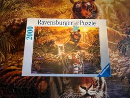 Ravensburger Puzzle Tiger 2000 Teile