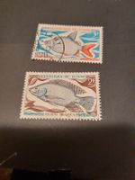 République du Tchad - Collection de Timbres de Poissons
