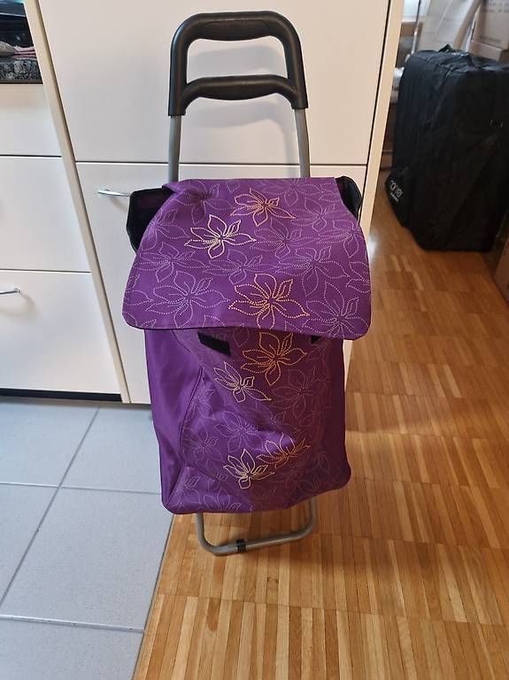 Altro per la casa: Einkauftrolley – Usato da Wallisellen venduto da GCR01 2