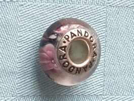 Beads and Charms Pandora