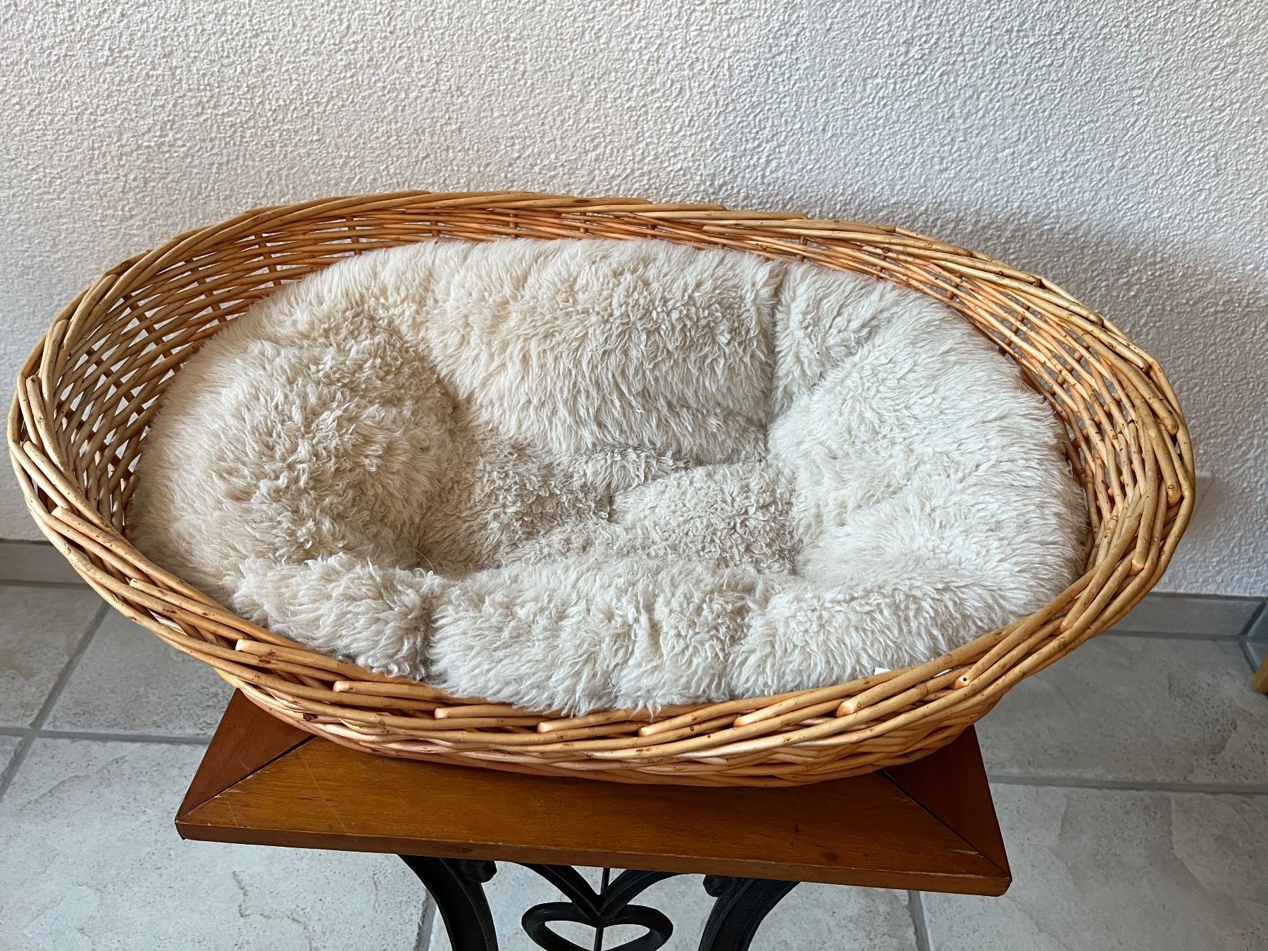 Niches, paniers: Katzenkorb – D'occasion à Kappel SO par G4cube