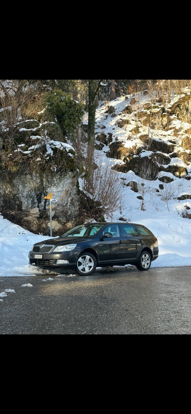 Skoda Automobili: ZU VERKAUFEN – Usato da Winterthur venduto da wor_5tlz