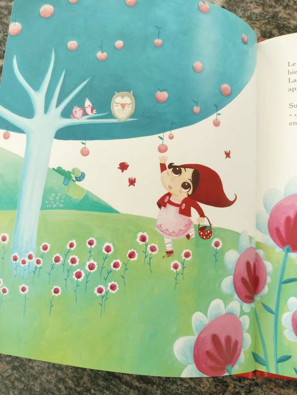 Libri: Le petit Chaperon Rouge Mes p'tits classiques à écouter CD – Usato da Cortaillod venduto da rozinna 2