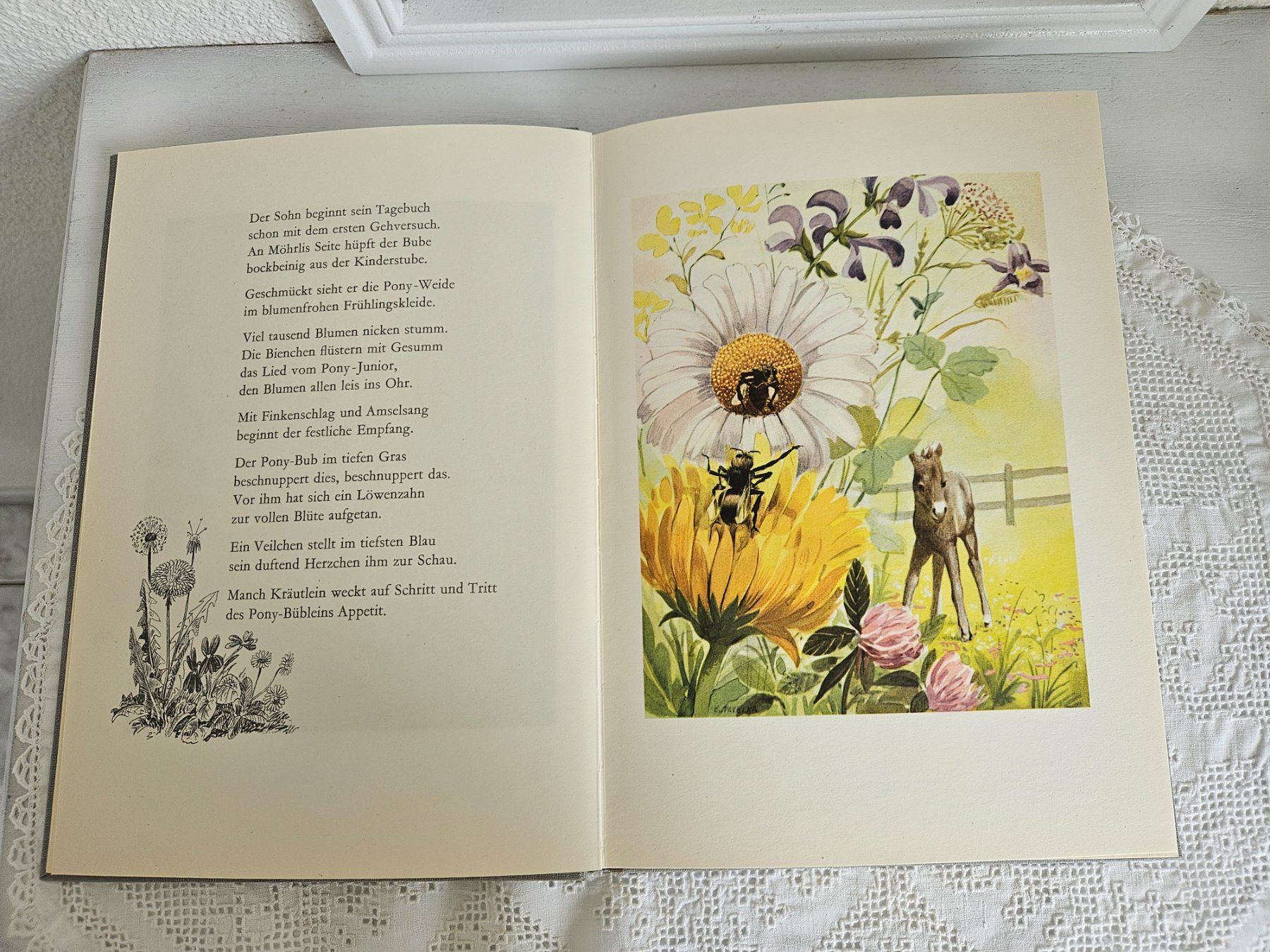 Libri: Die Geschichte vom Ponely Hüf Bilderbuch Kinderbuch – Usato da Gossau ZH venduto da Goes05 2