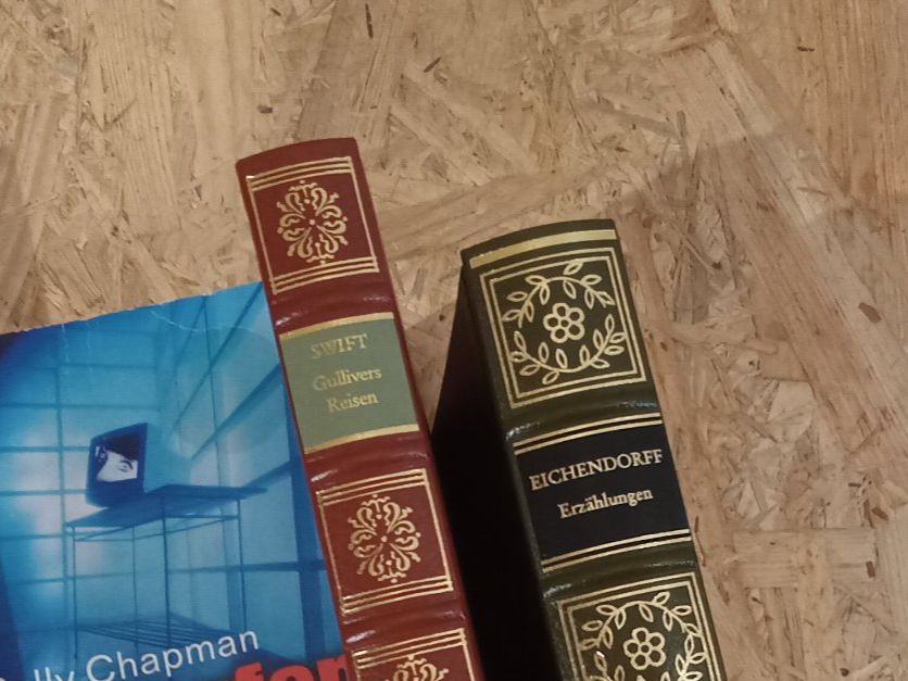 Libri: Div Romane und Geschichten – Usato da Mollis venduto da 5903philipp 1