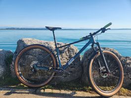 VTT ROSE PDQ 3 Carbone taille L