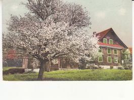 Motivkarte Bauernhaus 1918 mit ST Bristen