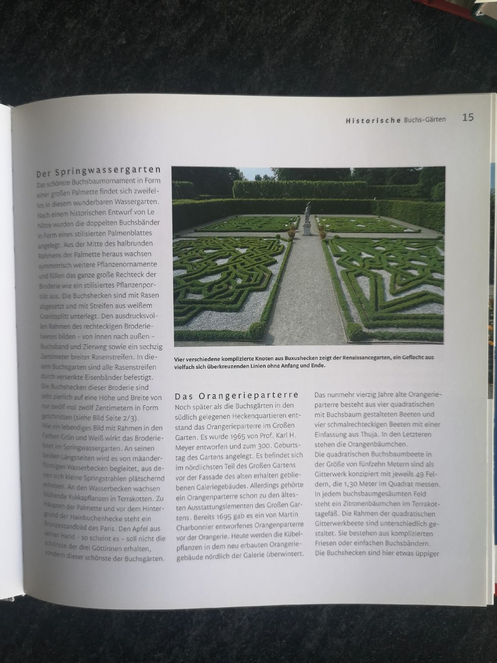 Libri: Gartenbuch Buchs – Usato da Biel/Bienne venduto da Rosen21 2