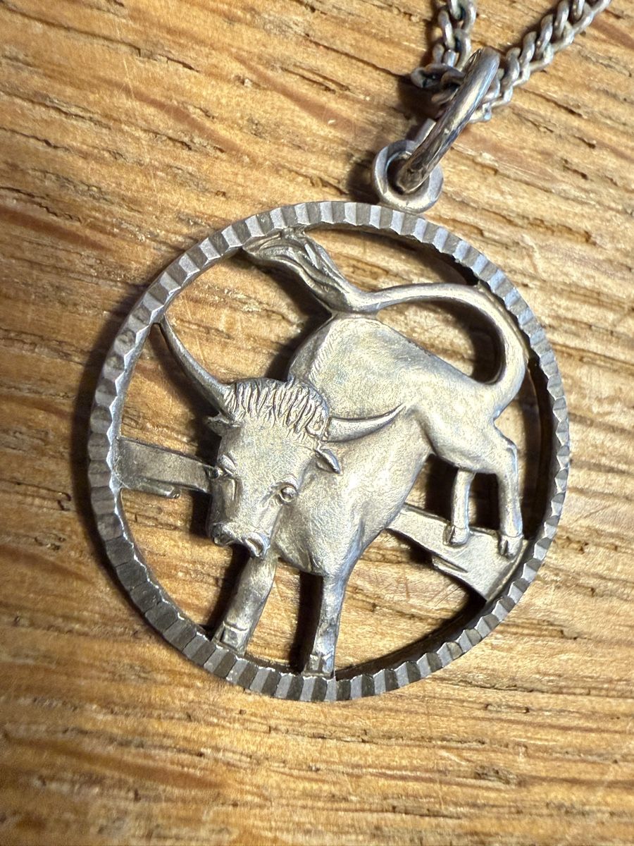 Catenine: Kette mit Anhänger Stier 800 Silber – Usato da Goldach venduto da Messerguru
