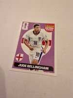 PANINI Extra-Sticker