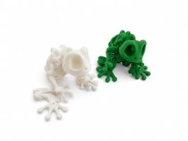 Skeleton Frog