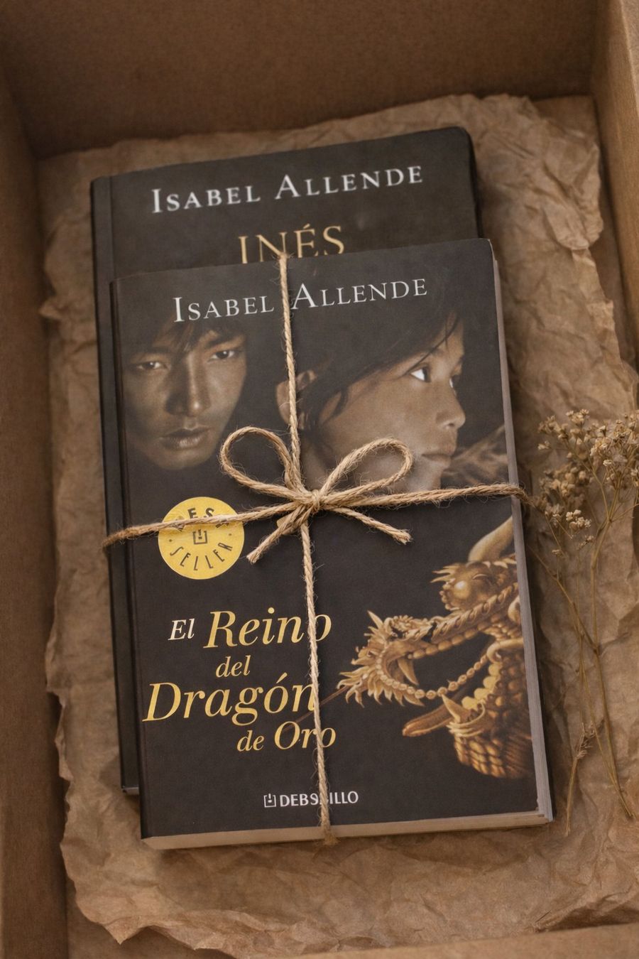 Libri: Isabel Allende Bundle – 2 Bücher auf Spanisch – Usato da Basel venduto da Pora_by_wishandhint