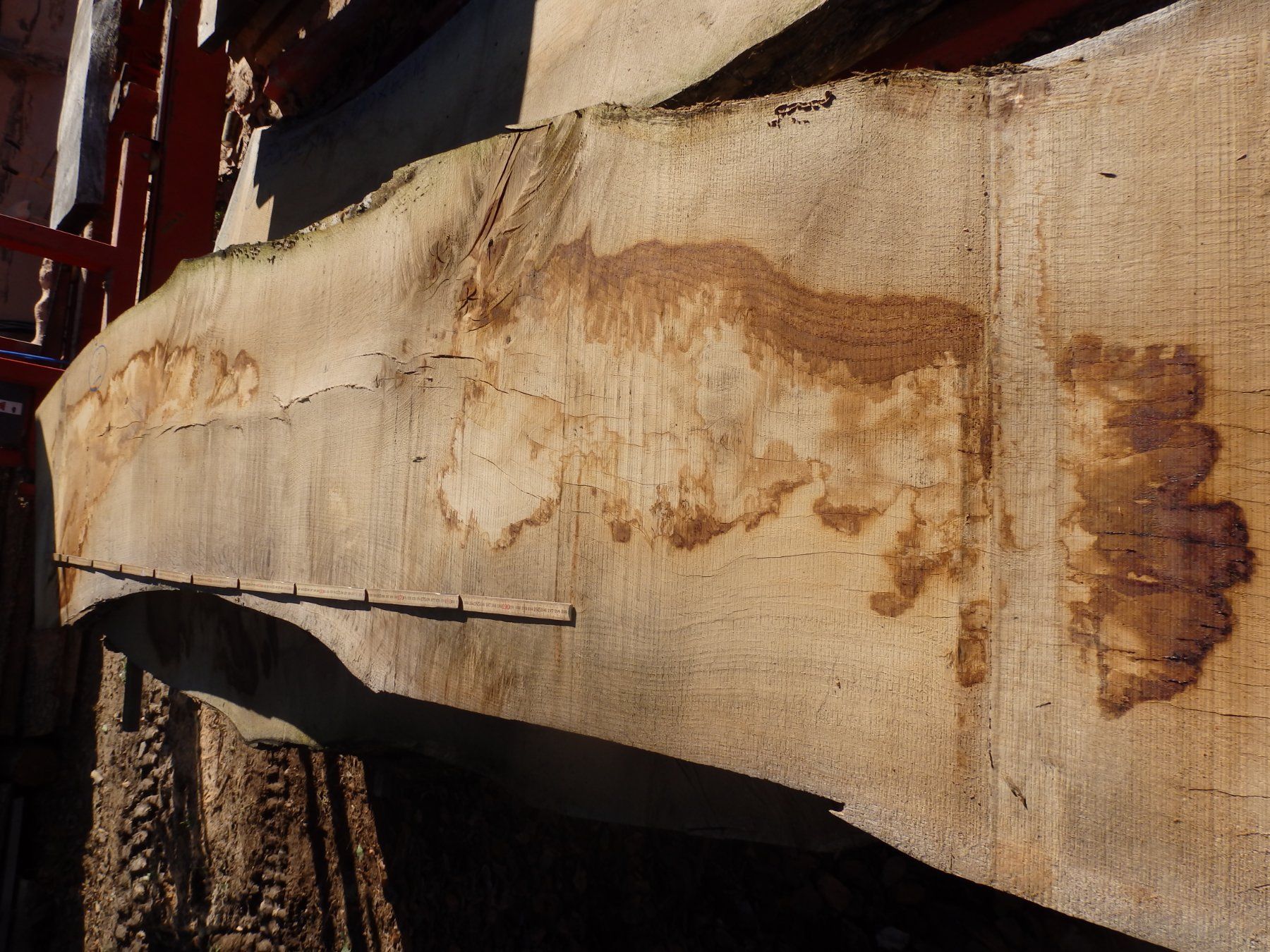 Articoli in legno: Eichenbrett – Usato da Heiligenschwendi venduto da kiplimo 7