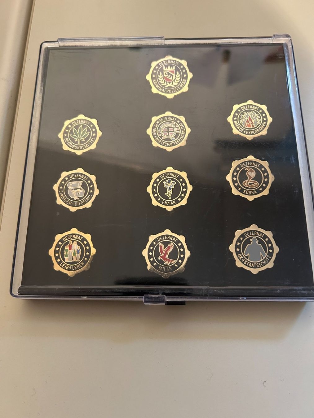 Placchette & Badge: Kapo Bern 10 Pins der Sonderdezernate – Usato da Schaan venduto da Auring61 1