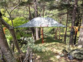 Tentsile Hängezelt Stingray 3 Pers.