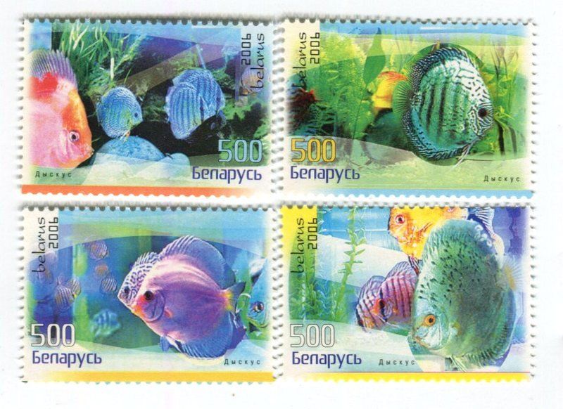 Tous les timbres: Briefmarken "Fische". Weissrussland. – Neuf avec emballage d'origine à Basel par Butsch5
