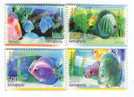 Briefmarken "Fische". Weissrussland.