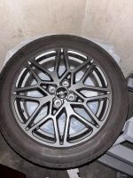 ontinental Premium Sommerreifen / Komplettrad 205/55 R17 91V