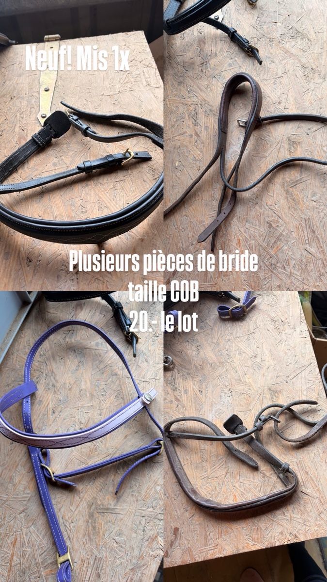 Briglie & Cavezze: Pièces de bride COB  – Usato da Lavigny venduto da Lea_9rxv
