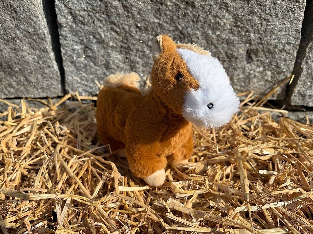 Spielzeuge: Das Pferdchen Balthasar  zum Adoptieren – Neu und originalverpackt aus Münchenstein von Zappi123